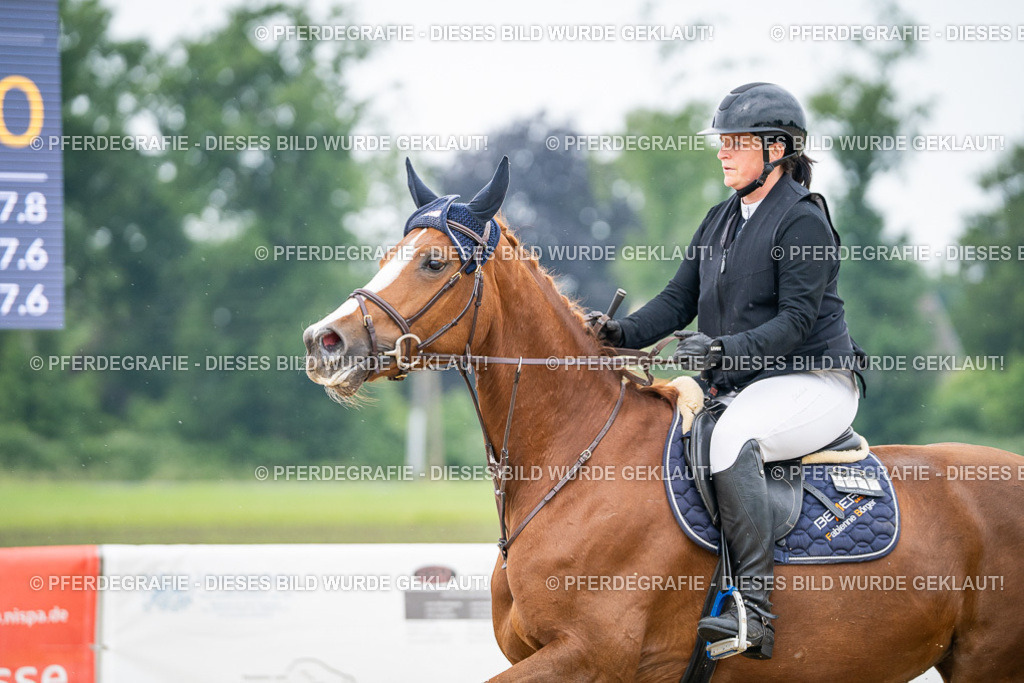 DSC09556 | Pferdegrafie