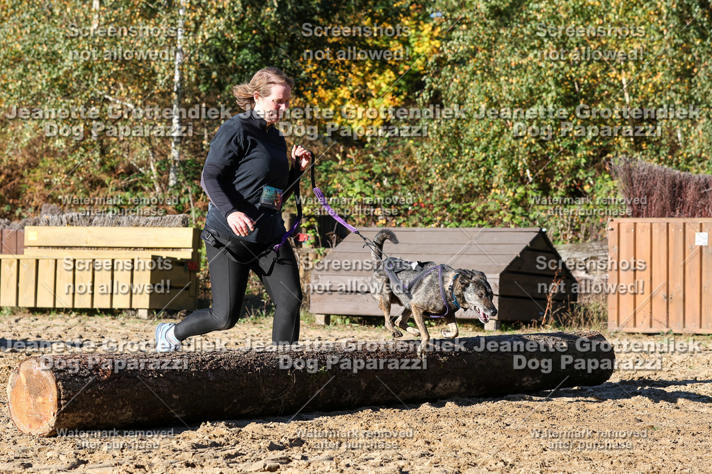 Dog Paparazzi - Strongdog 10-25-1974 | Dog Paparazzi Jeanette Grottendiek Fotografie & Videografie - Realisiert mit Pictrs.com