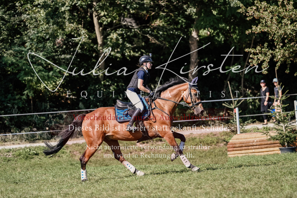 DSC_3372 | Pferde- und Turnierfotografie in Westsachsen. Pferdeportraits, Auftragszeichnungen und intuitive Kunst.