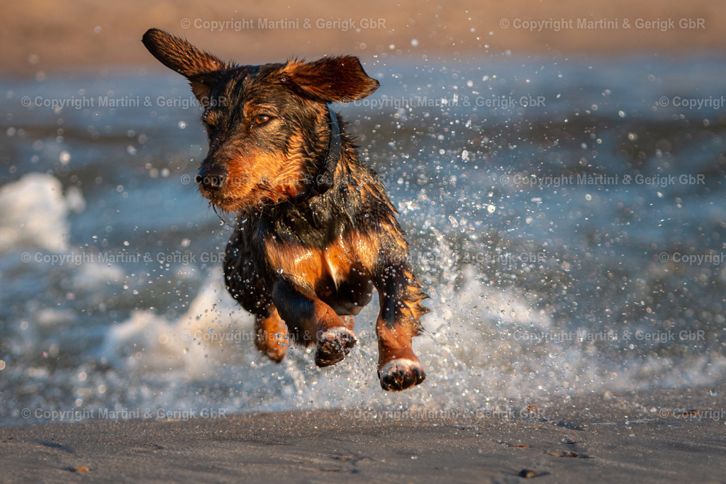 Markus Gerigk_48 | Martini & Gerigk - Realisiert mit Pictrs.com