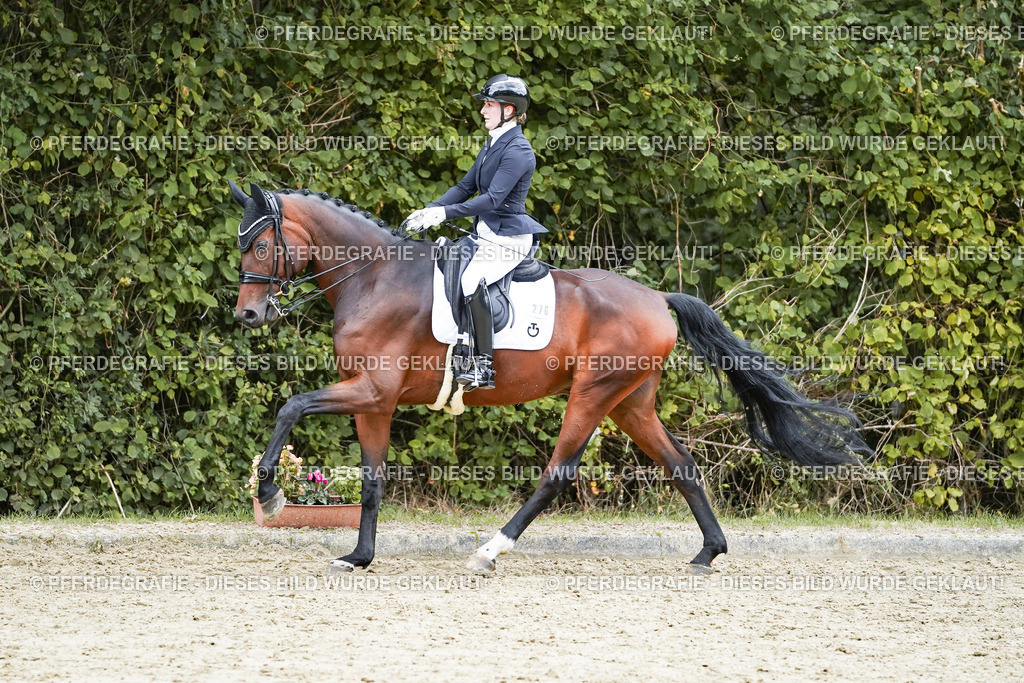 DSC07284 | Pferdegrafie