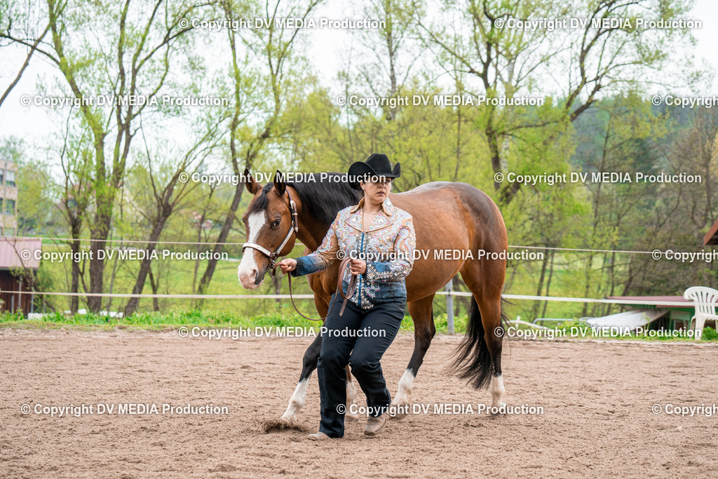 BA300159 | dv-media-shop - Realisiert mit Pictrs.com