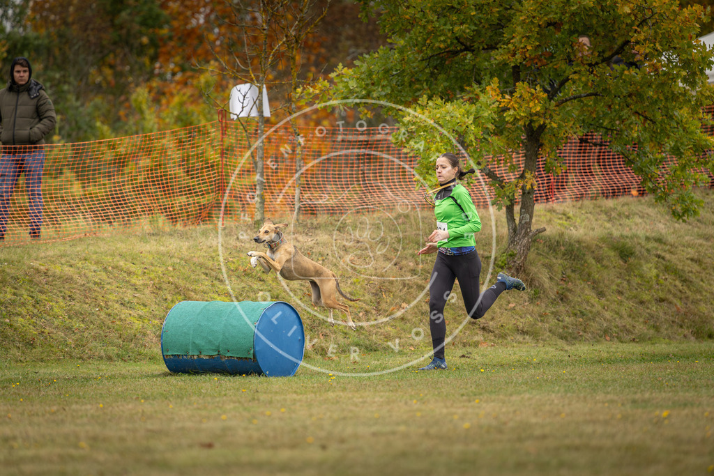 Pfotenfotografie_DV3A4572 | Hundefotografie, Tierfotograf, Pfotenfotografie, Fotoshooting Hund, Hunde Portrait, Hundesport, Hundeportraits, Heideshooting, Hunde, Sportfotograf, Hundefotograf, Turnierhundsport, THS,  - Realisiert mit Pictrs.com