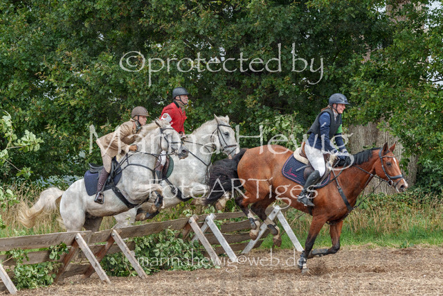 Jagd Perdoel_MarinaHewigMCH04319 | Fotografie, FotoArt, PferdesportArt, Pferdesportfotografie, Landschaftsfotografie, Reisefotografie, Reise, Pferde - Realisiert mit Pictrs.com