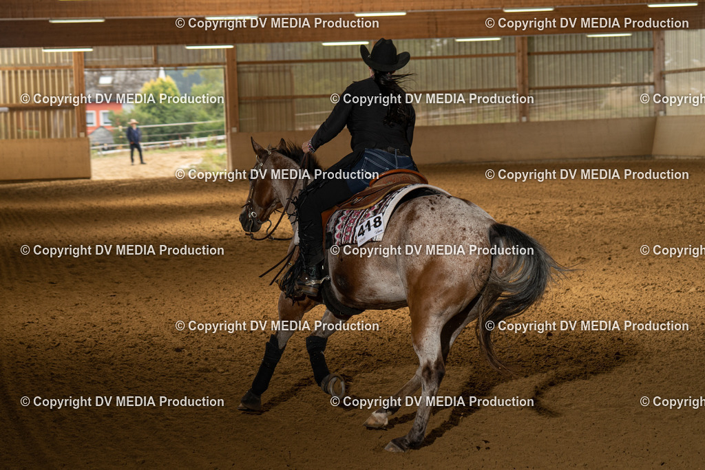 LAU00910 | dv-media-shop - Realisiert mit Pictrs.com