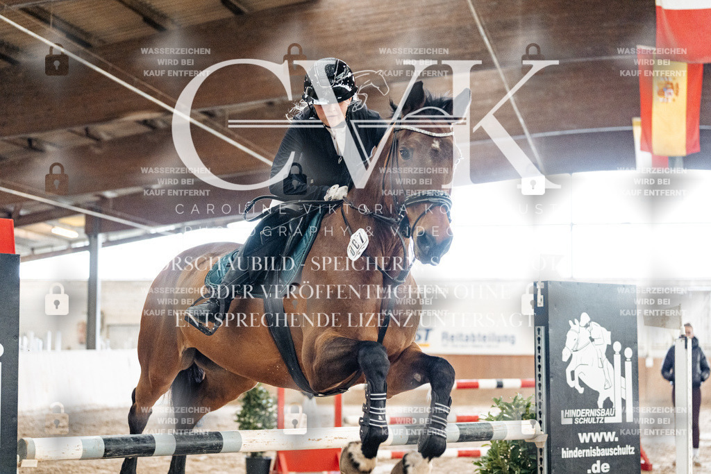 CK906261 | Turnierfotografie Pferdefotografie Trier Rheinland-Pfalz Pferdesport Reitsport Tierfotografie Sportfotografie Pferdevideo Pferdevideografie Equestrianvideography equestrianphotography  - Realized with Pictrs.com