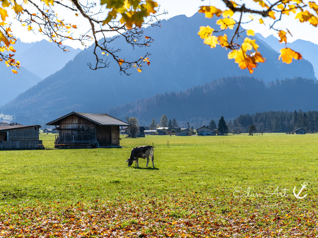 20241029-EAF_4914 | Eilun-Art-Fotografie Levke Martens, ihre Fotografin für Immobilien- und Landschaftsfotografie auf Föhr, Föhrer Motive als Poster, Leinwand, hinter Acrylglas oder stelle dir deinen eigenen Monatskalender zusammen, mit nur einem Klick