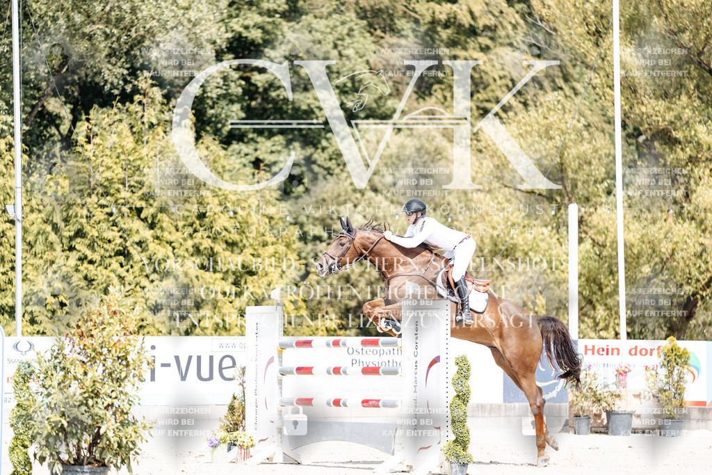 CK904992 | Turnierfotografie Pferdefotografie Trier Rheinland-Pfalz Pferdesport Reitsport Tierfotografie Sportfotografie Pferdevideo Pferdevideografie Equestrianvideography equestrianphotography  - Realisiert mit Pictrs.com