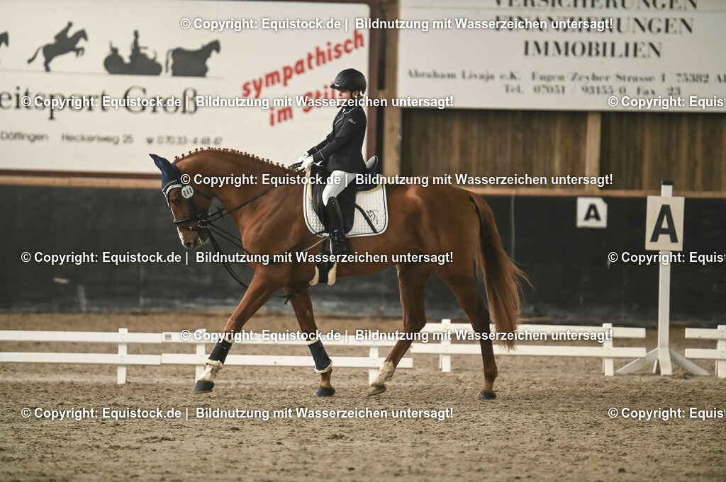 20231029_02_Reiter-WB_Schritt-Trab_Abteilung-01_0060 | Foto: Thomas Hartig