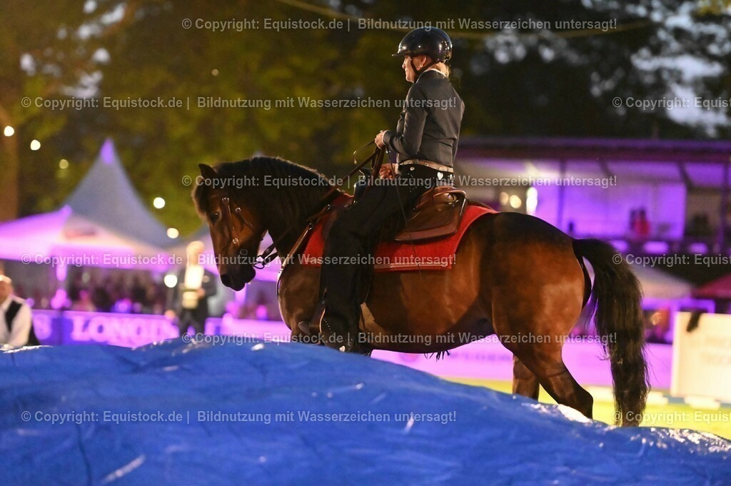 20230526_Pferdenacht_1035 | equistock