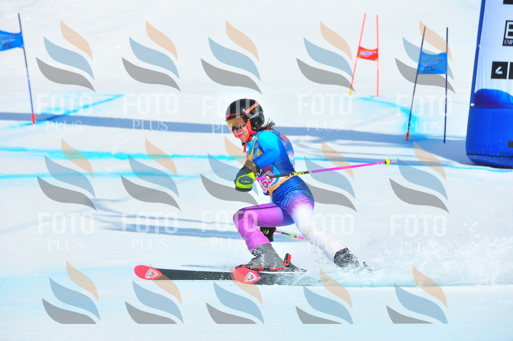 DSC_5188 | holidayphoto