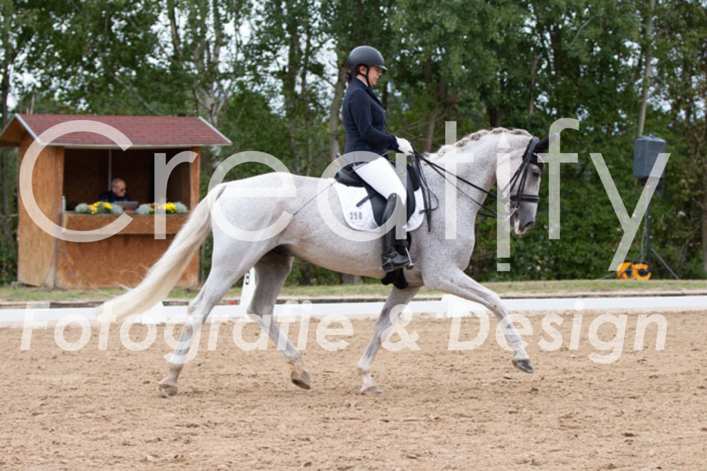 IMG_7377 | Creatify Fotografie