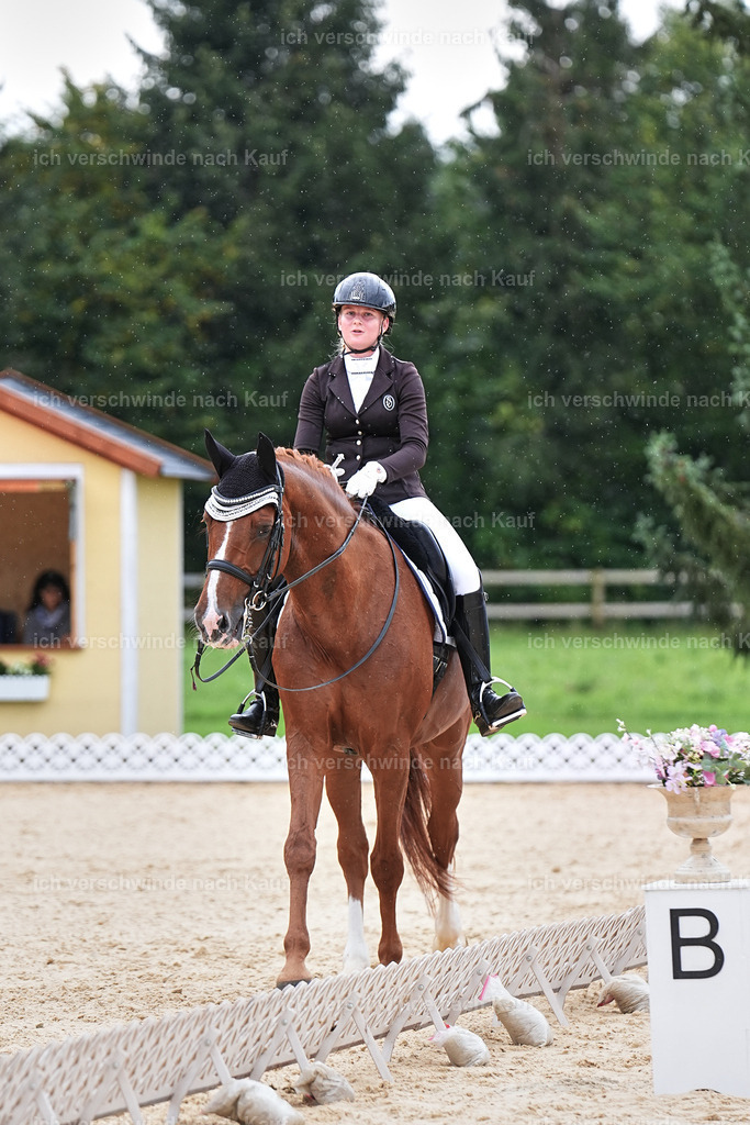 3-210-Dressur M_-Marixx-1985 | working equitationturnier fotograf videograf stoibphotography marixx film working equitation deutschland reitsport turnierfotografie eventfotografie equestrian events