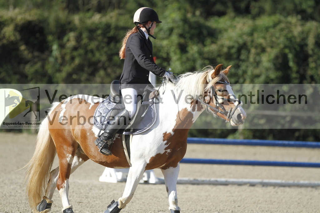 _MG_3926 | equestrian-live-com
