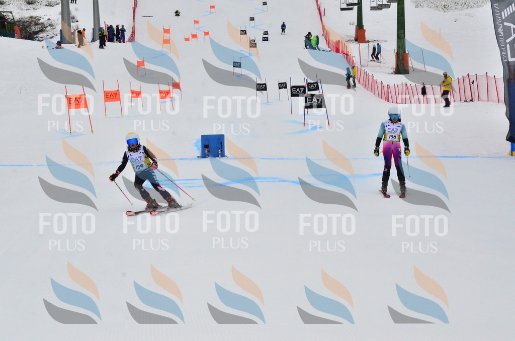 _ELE3700 | holidayphoto