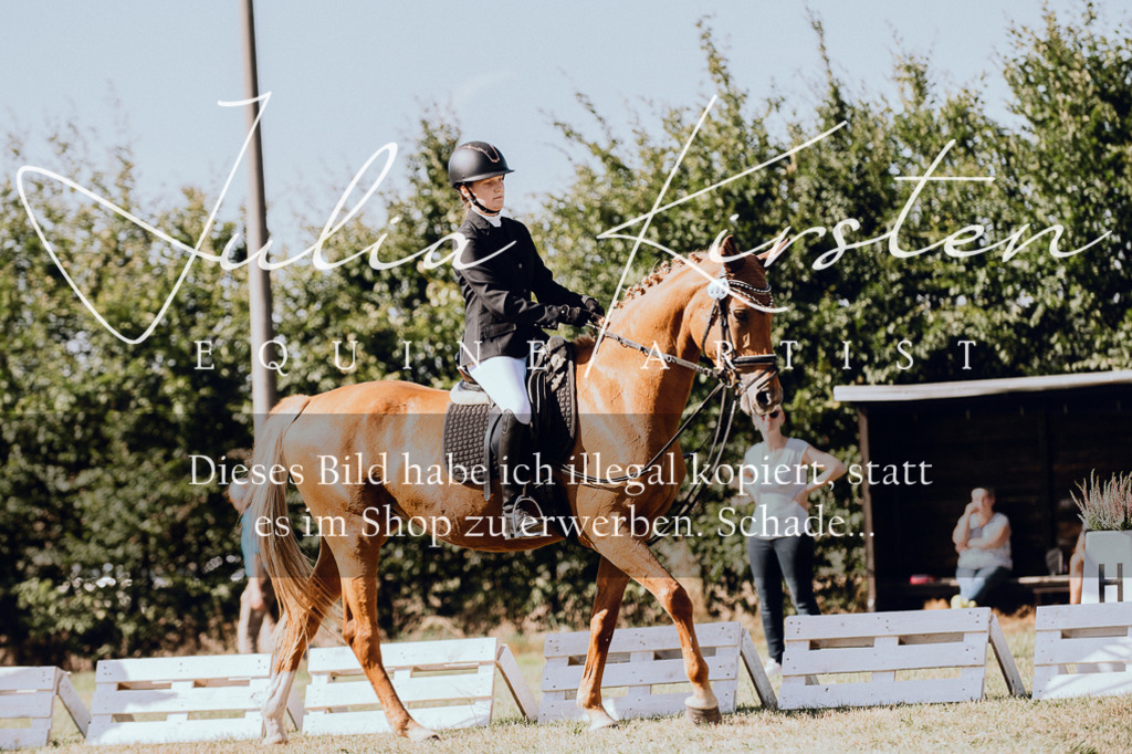 DSC_7247 | Pferde- und Turnierfotografie in Westsachsen. Pferdeportraits, Auftragszeichnungen und intuitive Kunst.