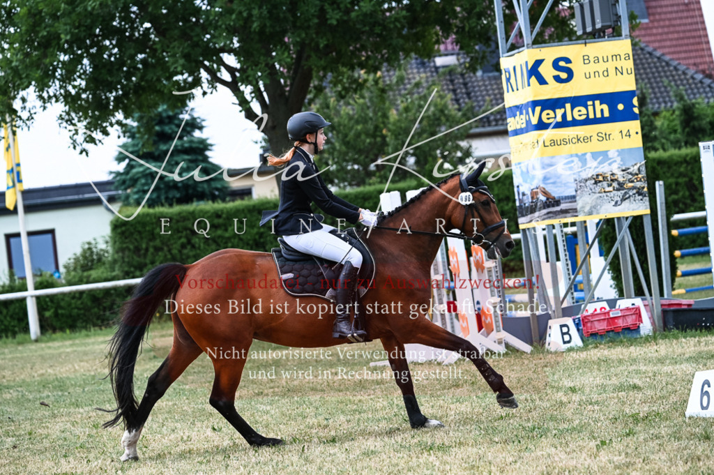 DSC_9025 | Pferde- und Turnierfotografie in Westsachsen. Pferdeportraits, Auftragszeichnungen und intuitive Kunst.