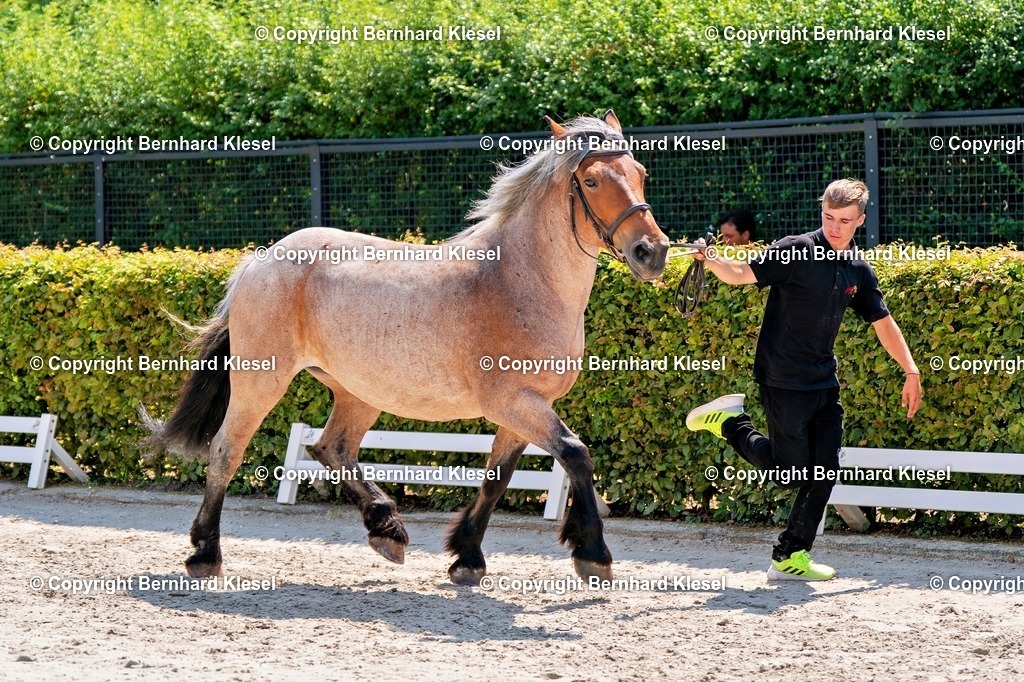 2A900631 | foto-team-bernhard - Realisiert mit Pictrs.com