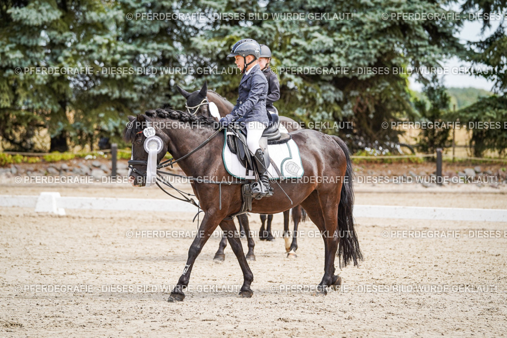 DSC02932 | Pferdegrafie