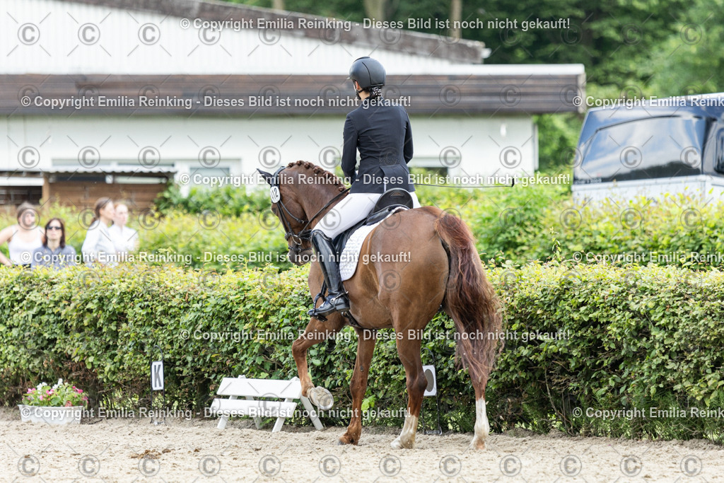 CL5A5810-2 | Emilia Reinking Fotografie - Realisiert mit Pictrs.com