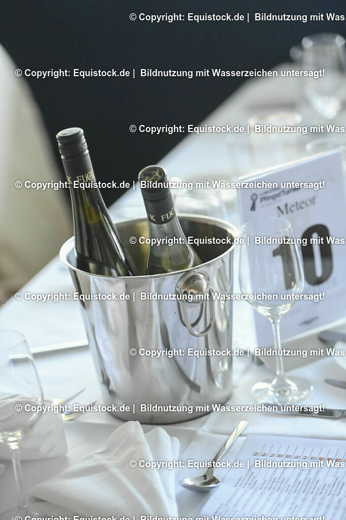 D78_3338 | equistock