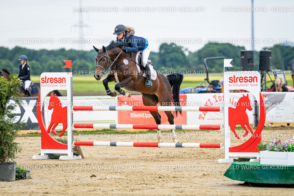 DSC05957 | Pferdegrafie