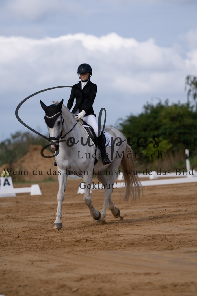 A7V05144 | Pferdefotograf