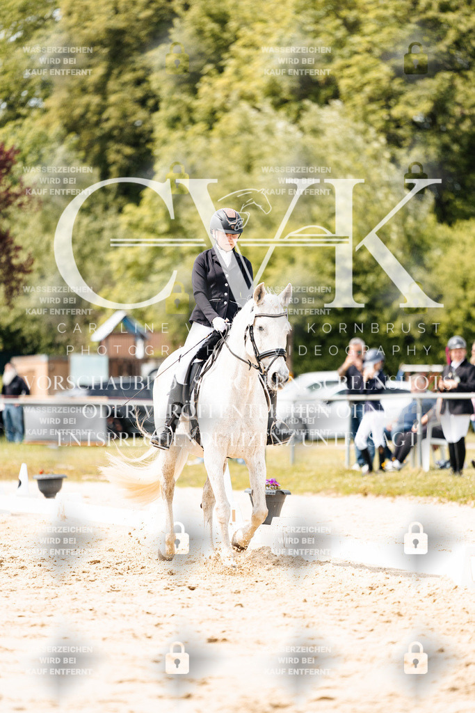 CK902445 | Turnierfotografie Pferdefotografie Trier Rheinland-Pfalz Pferdesport Reitsport Tierfotografie Sportfotografie Pferdevideo Pferdevideografie Equestrianvideography equestrianphotography  - Realisiert mit Pictrs.com