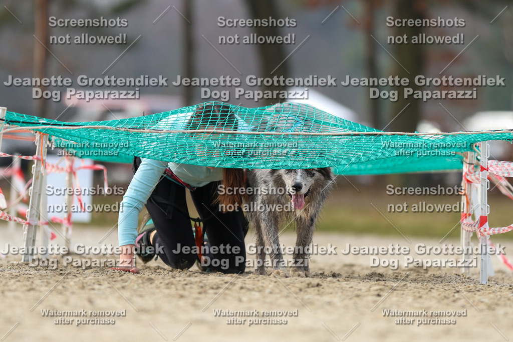Dog Paparazzi - Strongdog North Mrz26-4767 | Dog Paparazzi Jeanette Grottendiek Fotografie & Videografie - Realisiert mit Pictrs.com