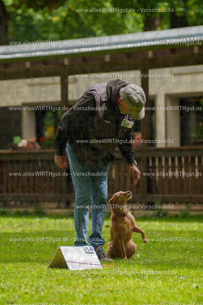 @allesWIRTHgut_Tierfotografie - www.allesWIRTHgut.de - 121730-7R508812 | Professionelle Tierfotografie in Mönchengladbach von Daniel Wirth (allesWIRTHgut). Liebevolle & natürliche Bilder von Hunden & Katzen für unvergessliche Erinnerungen.