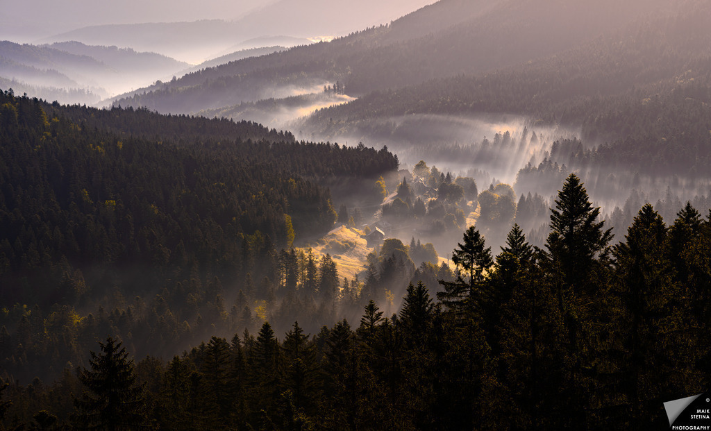 Misty Mountain Landscape at Dawn | A breathtaking view of mist-covered mountains at dawn, showcasing layers of forest and soft light filtering through the trees. The serene atmosphere evokes a sense of peace and connection with nature. - Realisiert mit Pictrs.com