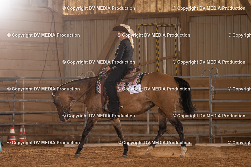 NID00931 | dv-media-shop - Realisiert mit Pictrs.com