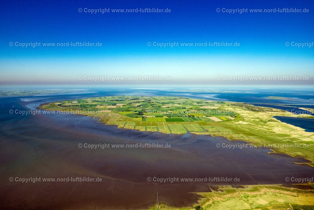 Nordstrand_ELS_8331100623 | NORDSTRAND 10.06.2023 Küsten- Landschaft mit Deich- Schutzstreifen in Süderhafen auf der Insel Nordstrand Nordfriesland im Bundesland Schleswig-Holstein, Deutschland. // Coastal landscape with dike protection strips in Suederhafen on the island of Nordstrand in the state Schleswig-Holstein, Germany. Foto: Martin Elsen