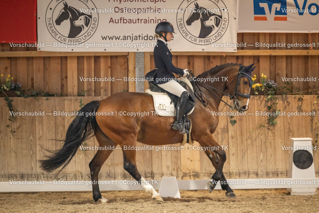 _D5A9801 | Emotionale Pferde- & People-Fotografie rund um Heidelberg, Leimen & Umgebung. Natürliche Fotos von Pferd, Mensch & Familie. Jetzt Termin sichern!