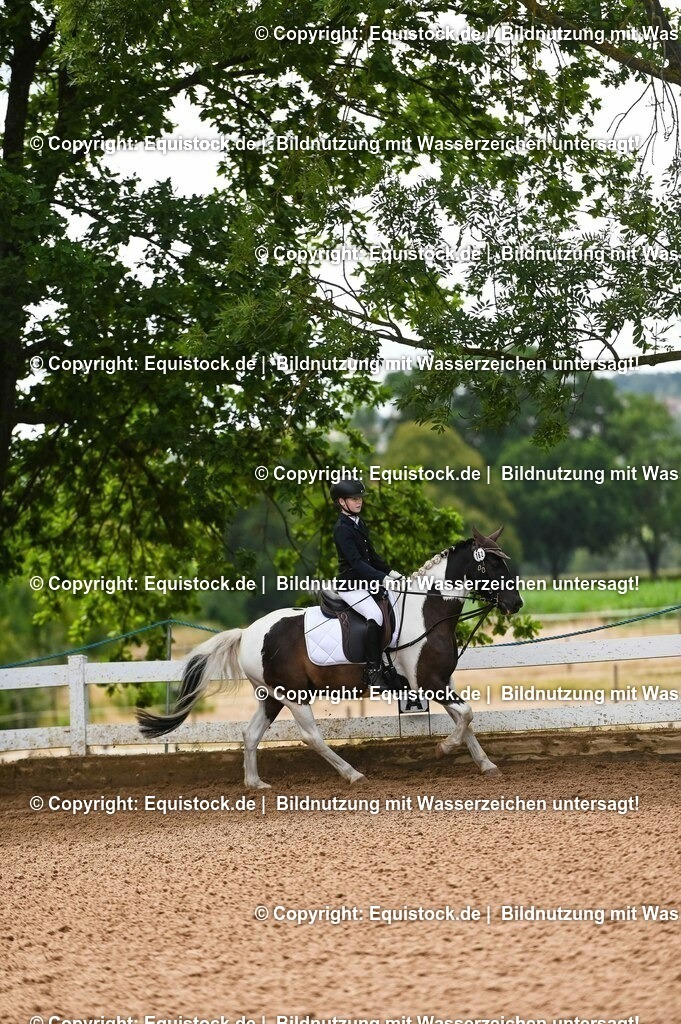 20230716_10-2_Reiter-WB Schritt - Trab - Galopp_0161 | equistock