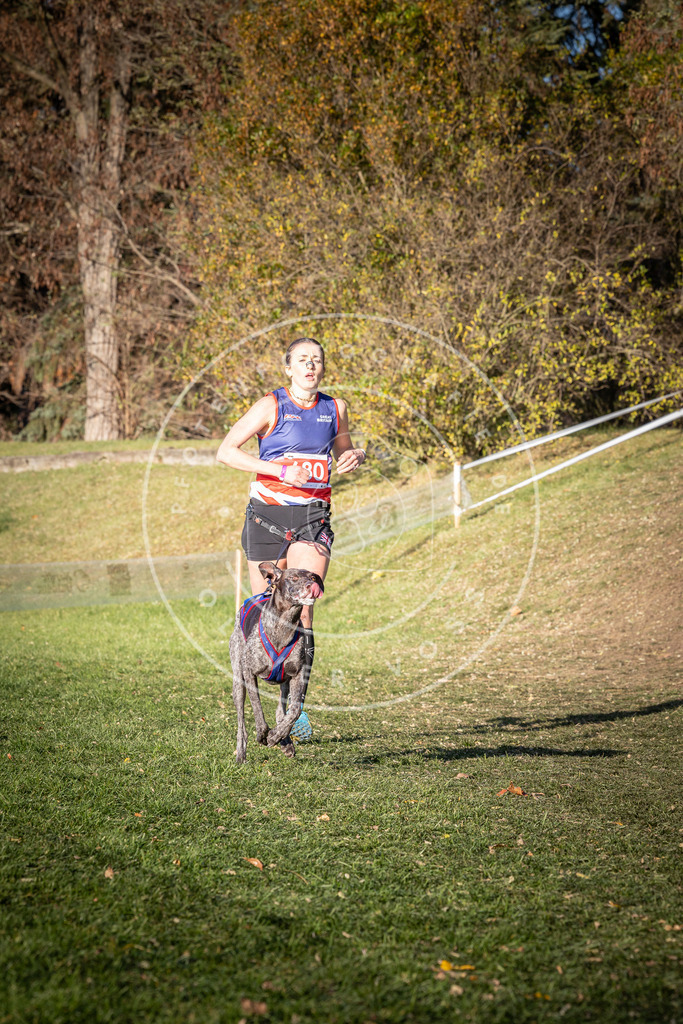 CaniXpix_0L8A9267 | Hundefotografie, Tierfotograf, Pfotenfotografie, Fotoshooting Hund, Hunde Portrait, Hundesport, Hundeportraits, Heideshooting, Hunde, Sportfotograf, Hundefotograf, Turnierhundsport, THS,  - Realisiert mit Pictrs.com