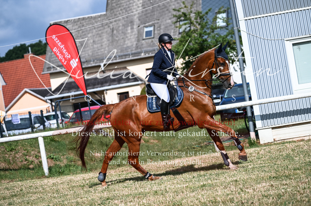 DSC_7745 | Pferde- und Turnierfotografie in Westsachsen. Pferdeportraits, Auftragszeichnungen und intuitive Kunst.