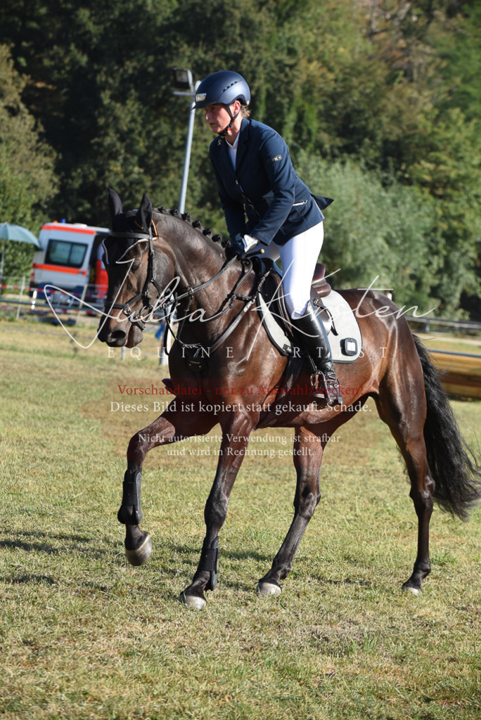 DSC_5183 | Pferde- und Turnierfotografie in Westsachsen. Pferdeportraits, Auftragszeichnungen und intuitive Kunst.