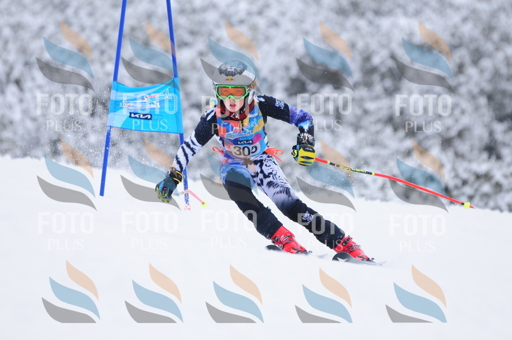 C3232 | holidayphoto