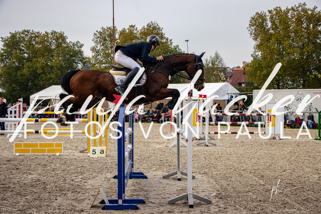 IMG_4883 | Erleben Sie dynamische Sport- und emotionale Tierfotografie in Süddeutschland mit Fotos von Paula. Spezialisiert auf Pferde- und Hundefotografie sowie Sportevents. Kontaktieren Sie mich für einzigartige und ausdrucksstarke Bilder Ihrer besonderen Momente. - Realisiert mit Pictrs.com