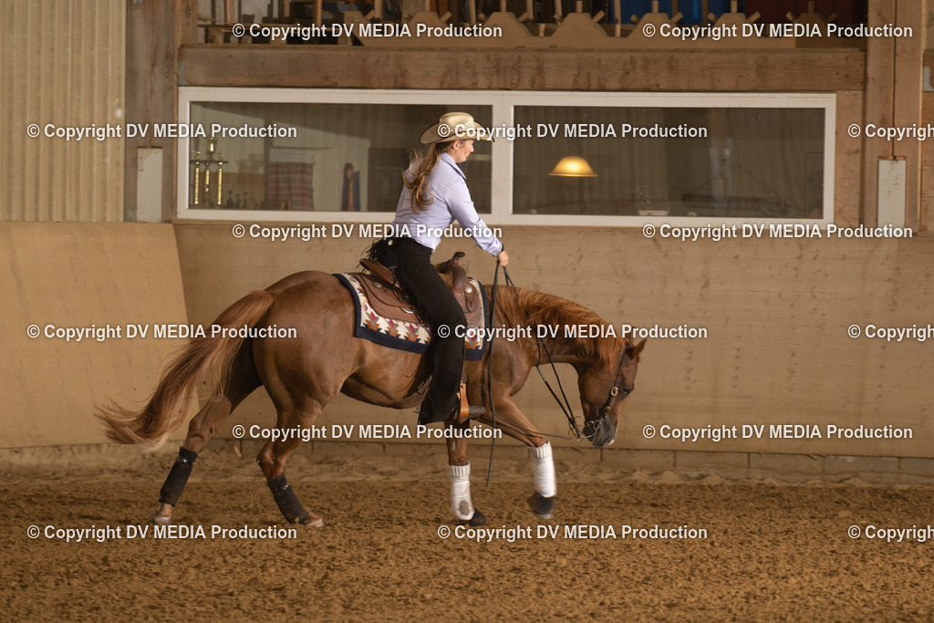 LAU00443 | dv-media-shop - Realisiert mit Pictrs.com