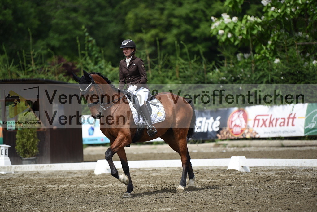 DSC_0912 | equestrian-live-com