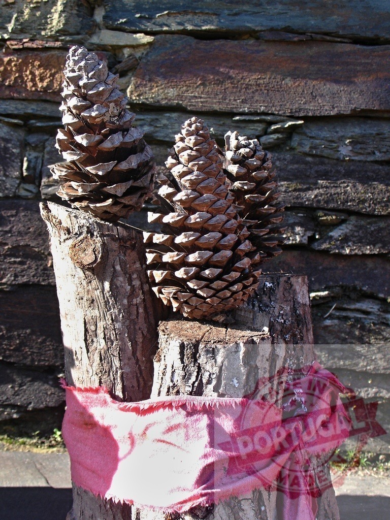 Pine cones resting on wooden logs with pink ribbon tied around them | Pine cones standing on cut tree trunks with pink ribbon tied around them, creating a rustic and natural still life - Realized with Pictrs.com