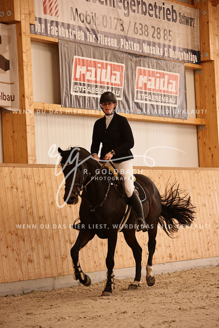 1J2A2810Miriam Steinicke_ Supernova 6_ Kn456_ Hohen Wieschendorf_ Glantz | Foto- und Videografie für alles rund ums Pferd. Hochwertige Bilder und Videos vom Spring- und Dressurreiten, Voltigieren & mehr. Jetzt aktuelle Veranstaltungen und Preise im Shop ansehen. - Realisiert mit Pictrs.com