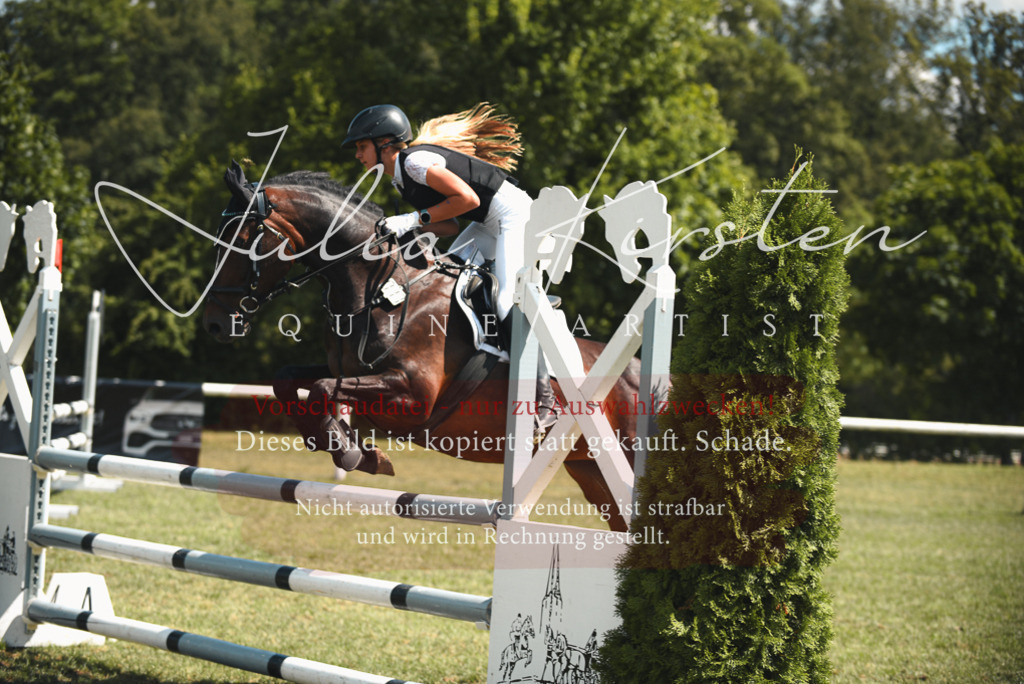 DSC_6616 | Pferde- und Turnierfotografie in Westsachsen. Pferdeportraits, Auftragszeichnungen und intuitive Kunst.