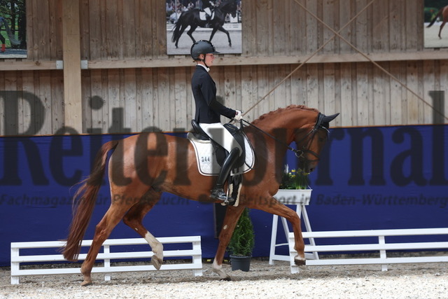 Zeutern_2023_Dressurpferdeprüfung_Kl.A_Ann-Kathrin Lindner_Feiner Fips (3) | Alle Fotos der Reiterjournal Fotografin Doris Matthaes im Reiterjournal Online-Fotoshop. - Realisiert mit Pictrs.com