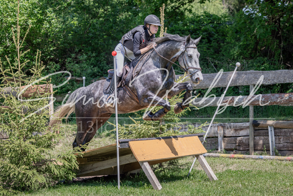 20260523-_3LI8709 | Tierfotografie Pferde, Hunde, Katzen, Haustiere.
Turnierfotografie Reitturniere, Reiten, Springreiten, Dressur in Hanau, dem Main-Kinzig-Kreis und dem Rhein-Main- Gebiet um Frankfurt