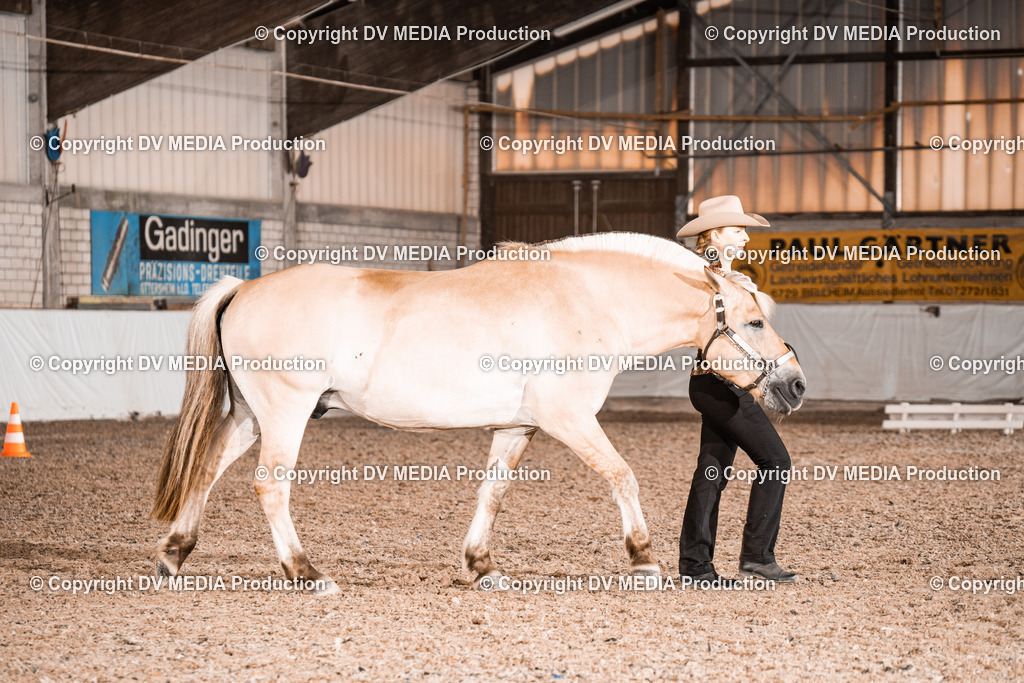 ZH200169 | dv-media-shop - Realisiert mit Pictrs.com