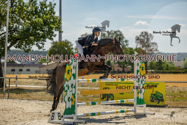 26-7-24 SPF M+-918 | mandyhollmannphotographie