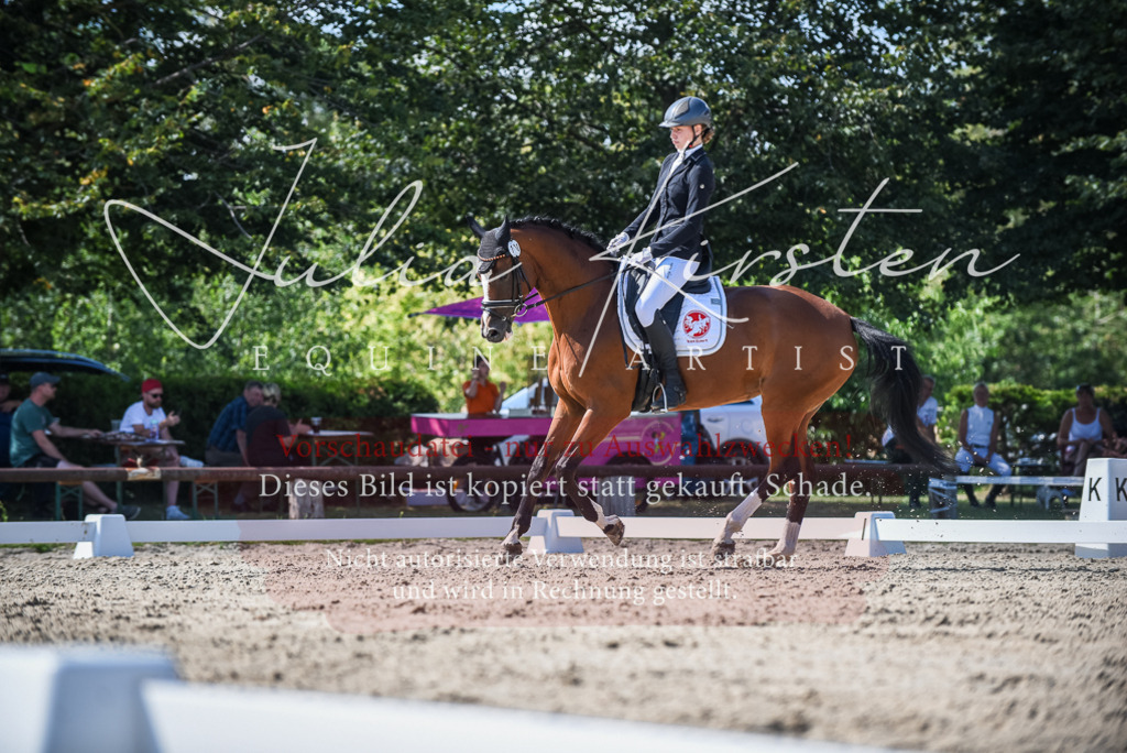DSC_9499 | Pferde- und Turnierfotografie in Westsachsen. Pferdeportraits, Auftragszeichnungen und intuitive Kunst.